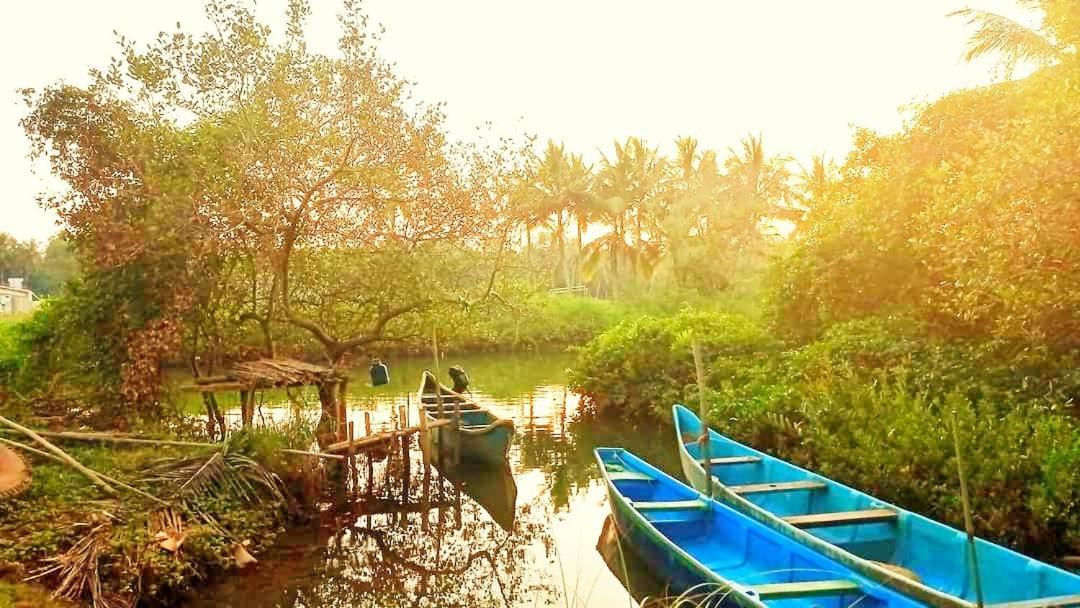 Shruthi'S Aarohi-Nature'S Retreat Mulappilangād Extérieur photo