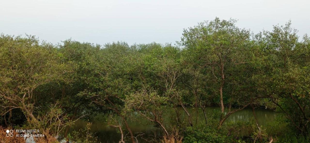 Shruthi'S Aarohi-Nature'S Retreat Mulappilangād Extérieur photo
