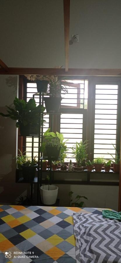 Shruthi'S Aarohi-Nature'S Retreat Mulappilangād Extérieur photo