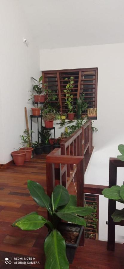 Shruthi'S Aarohi-Nature'S Retreat Mulappilangād Extérieur photo