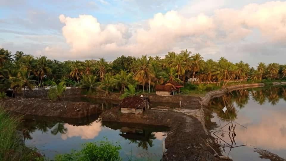 Shruthi'S Aarohi-Nature'S Retreat Mulappilangād Extérieur photo