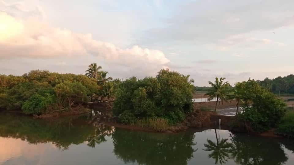 Shruthi'S Aarohi-Nature'S Retreat Mulappilangād Extérieur photo
